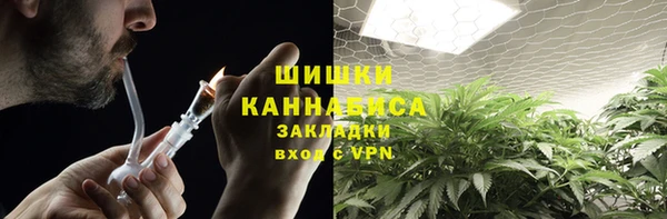 ПСИЛОЦИБИНОВЫЕ ГРИБЫ Баксан